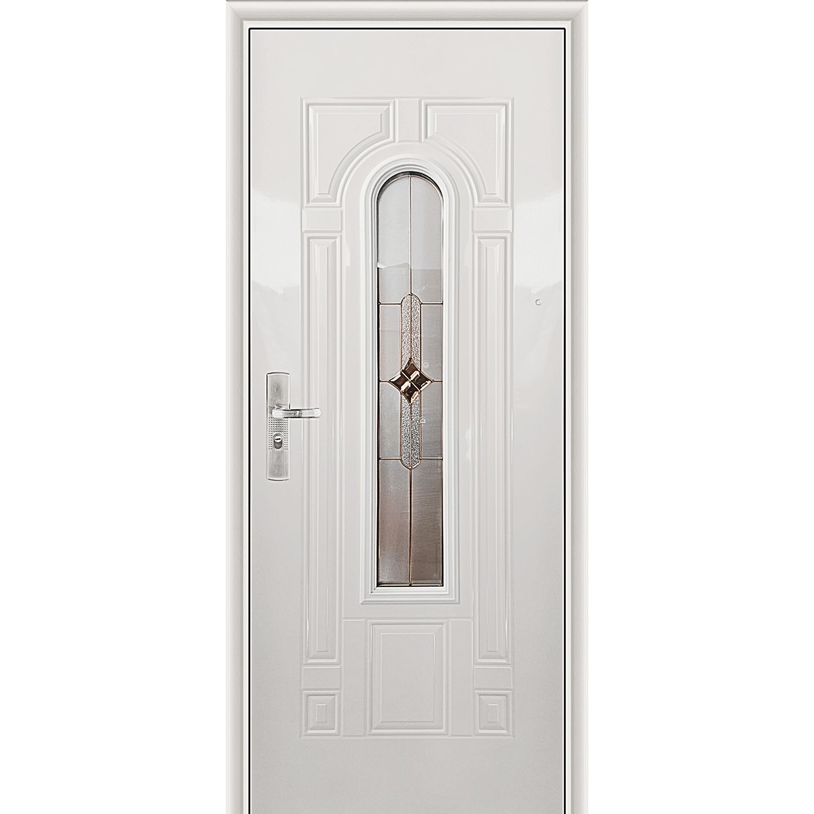 Дверь входная WX-S-208 c cтл